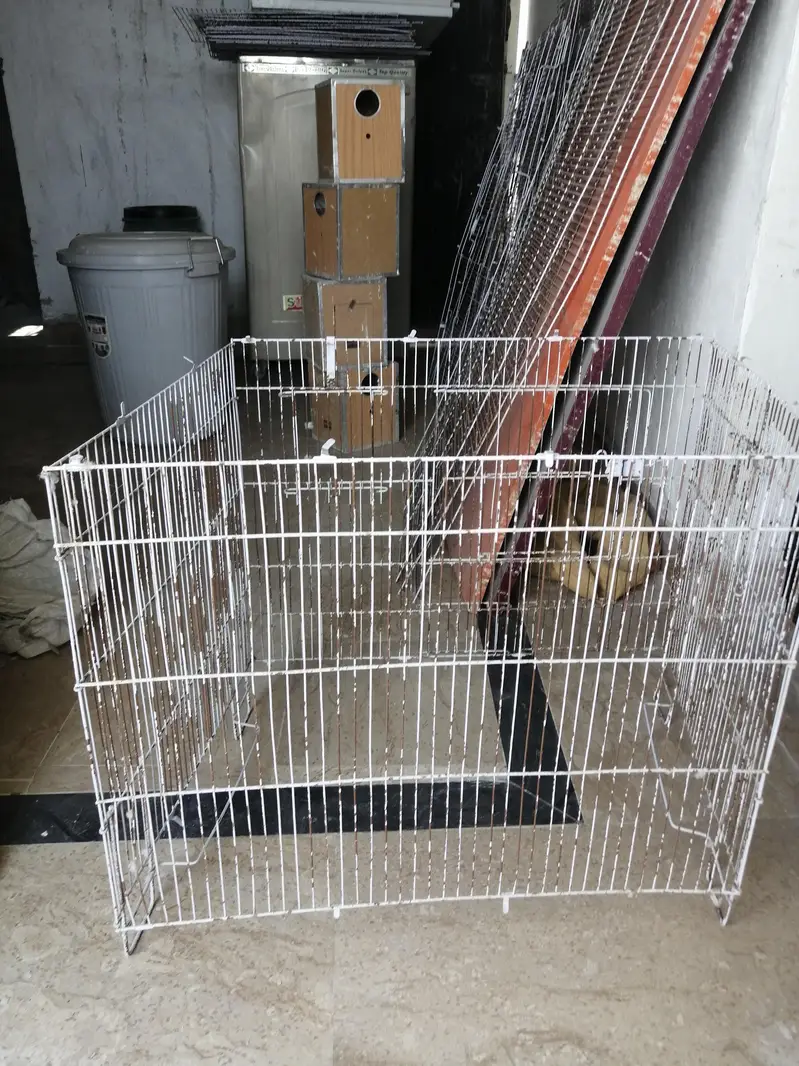 bird cage 2.5x1.5x1.5 — photo 7