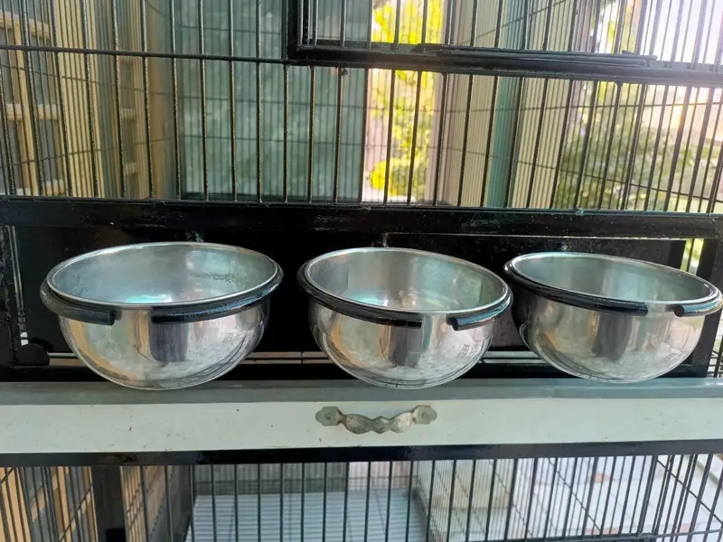 TOWER CAGE — photo 4