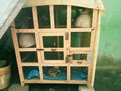 Cage with 7 parrots for sale 3 breeding pairs included