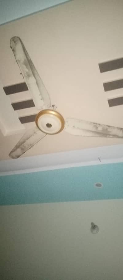fan for sell