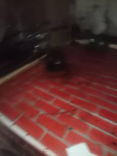 fris counter for sale