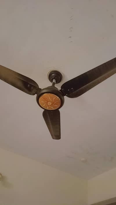 Pak Fan Ac Dc