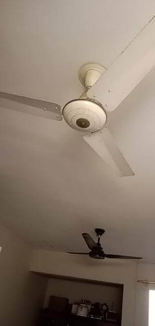 ceiling fan