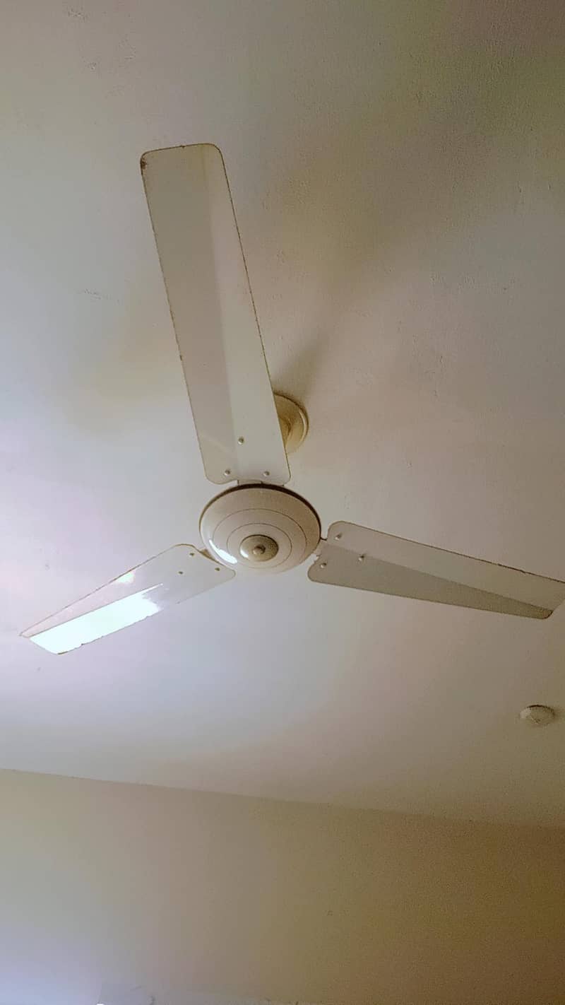ceiling fan 1