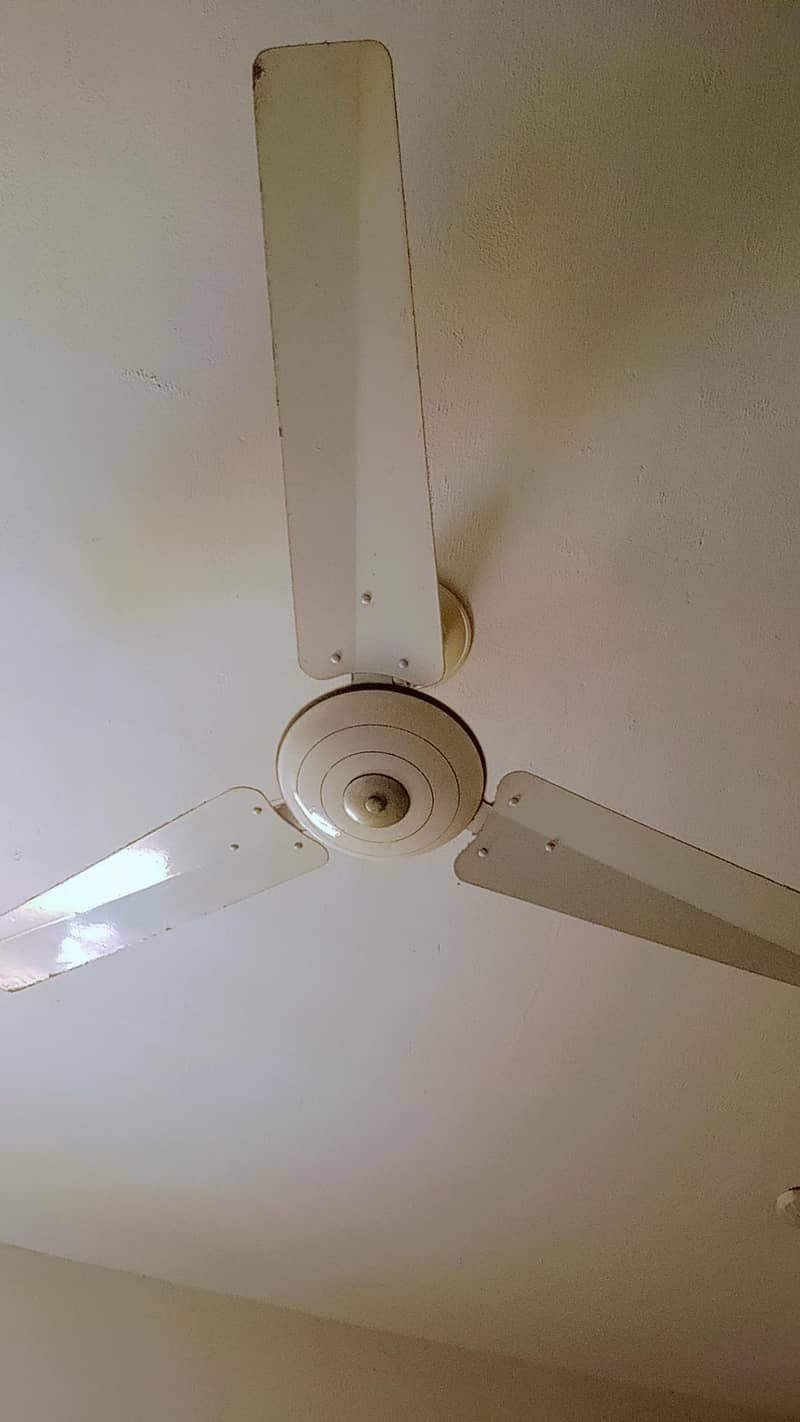 ceiling fan 2