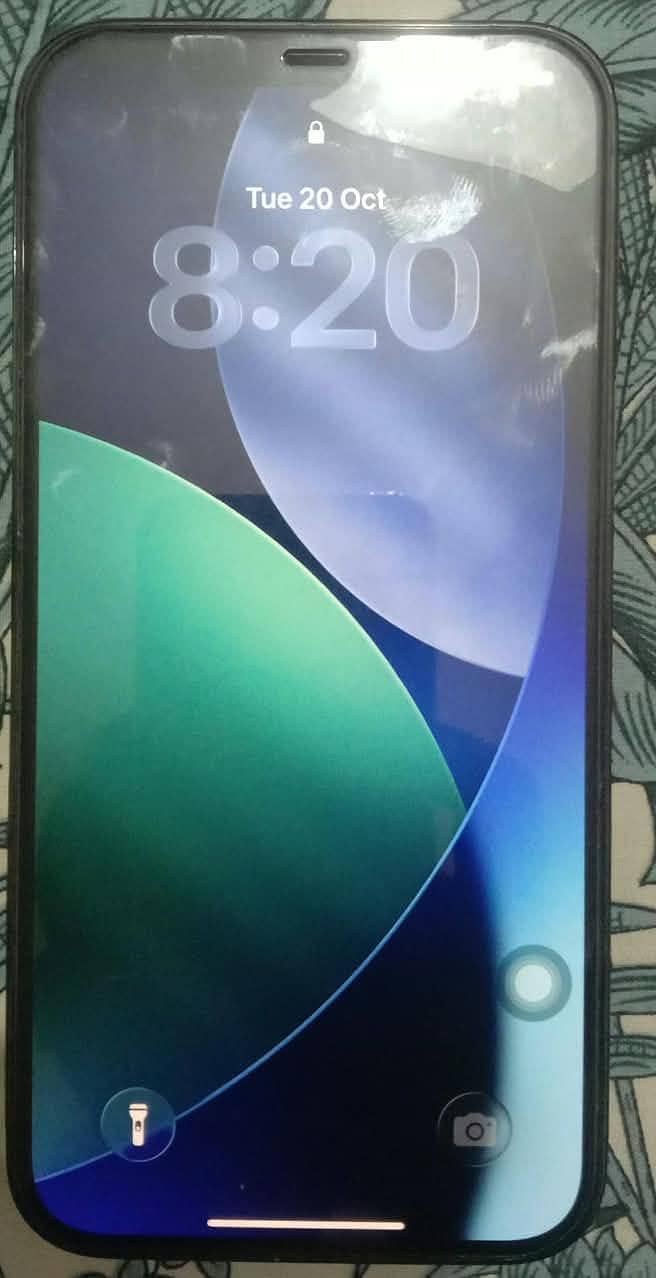 Apple iPhone 12 Pro Max 0