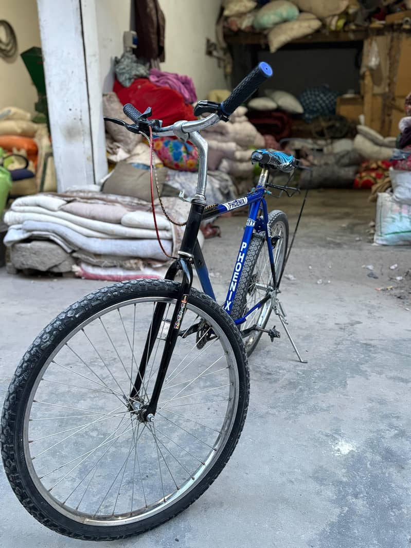 PHOENIX CYCLE 2