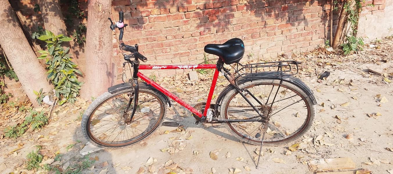 cycle 0