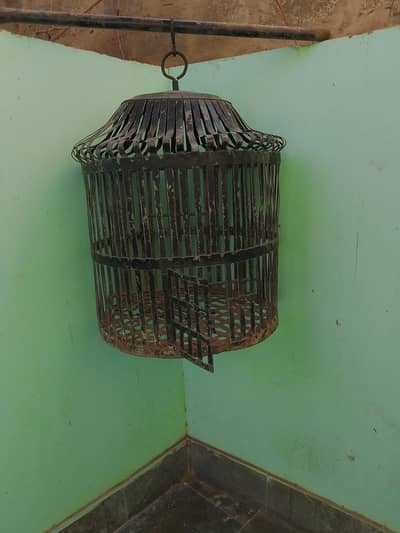 gray parrot heavy gauge pinjra