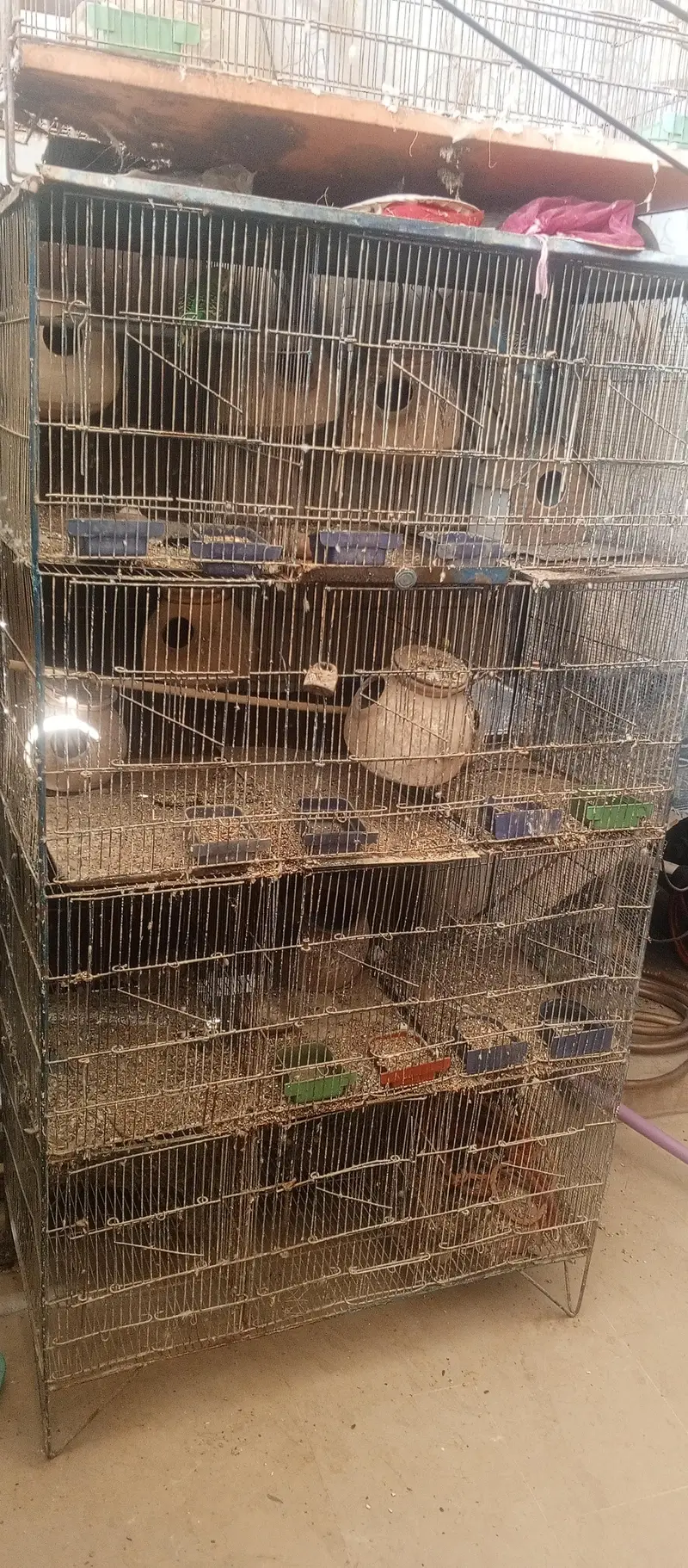 10 portion iron cage — photo 2