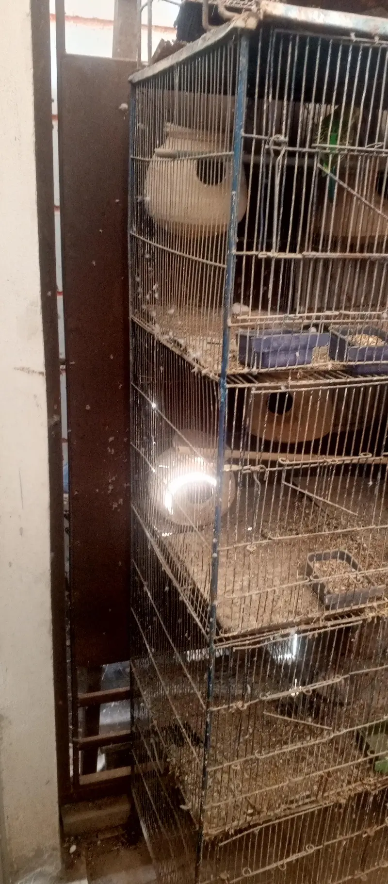 10 portion iron cage — photo 3