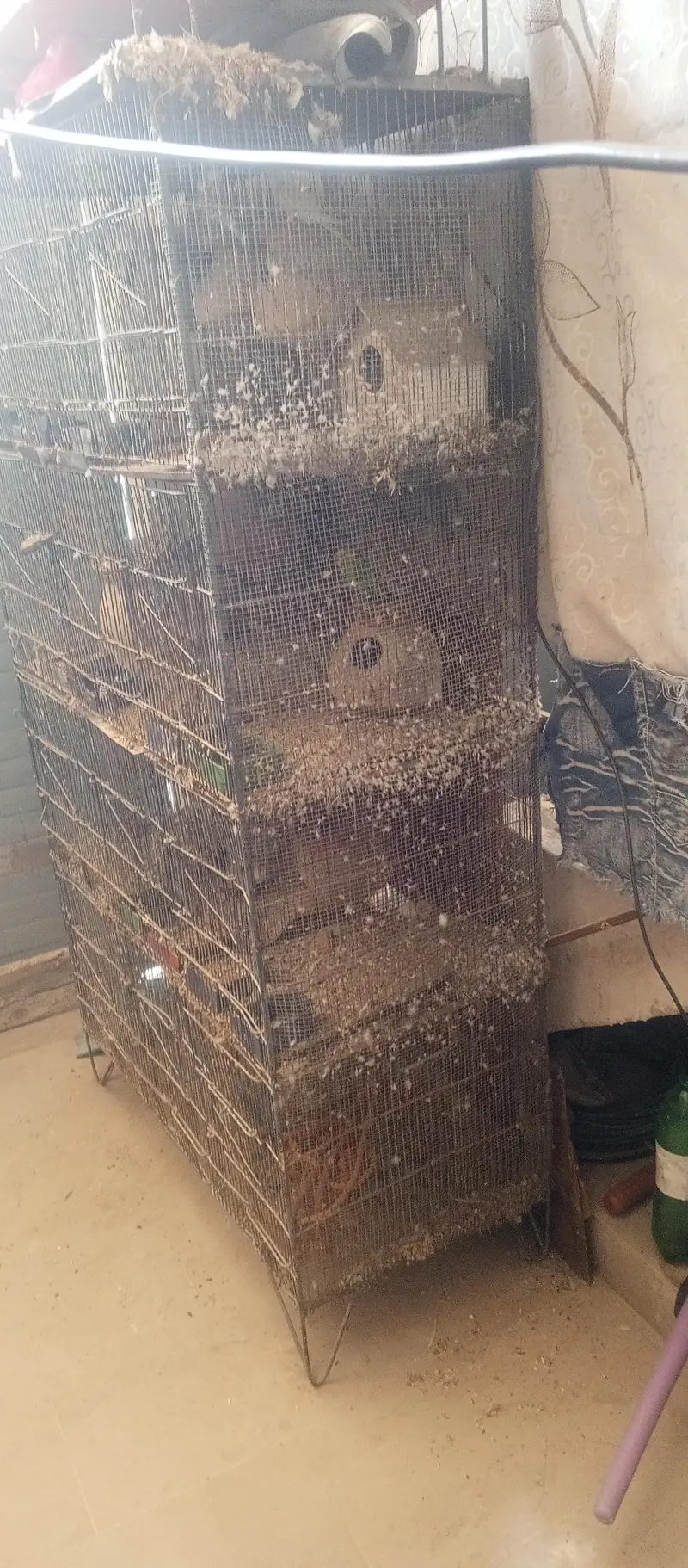 10 portion iron cage — photo 4