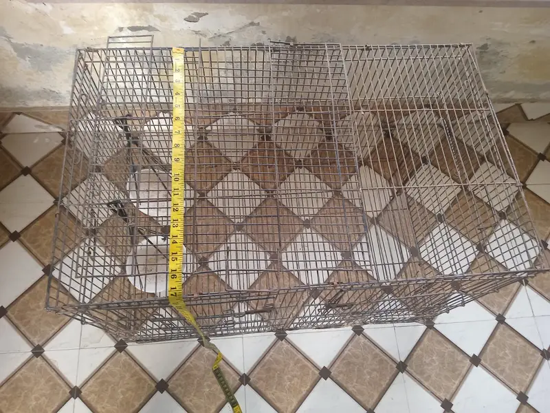 Cage for Sale at a Reasonable Price — photo 2