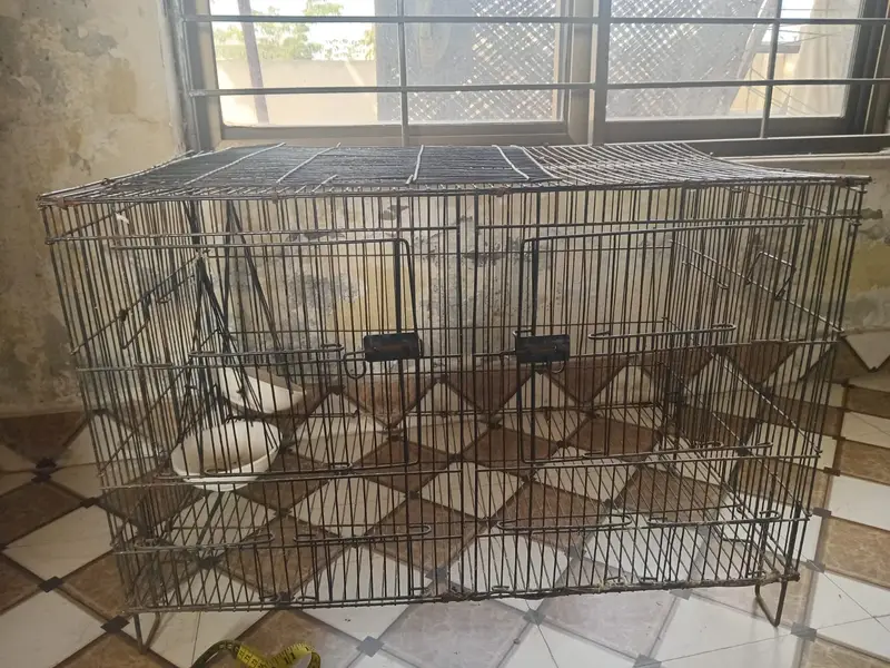 Cage for Sale at a Reasonable Price — photo 3