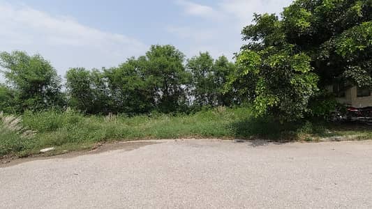 Prime Location Plot For Sale In Sector F DHA 1 Islamabad