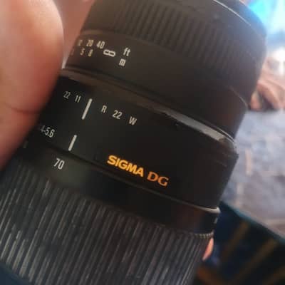 70-300mm sigma . Nikon