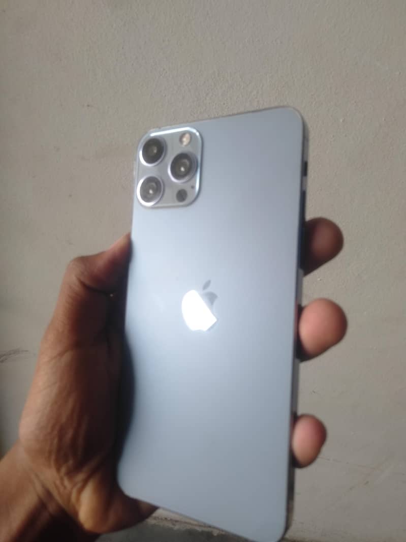 Apple iPhone 13 Pro Max 1