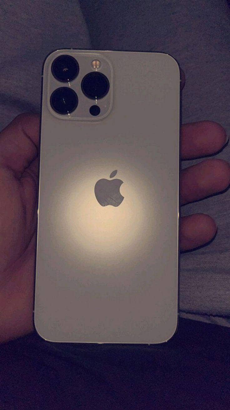 Apple iPhone 12 Pro Max 1