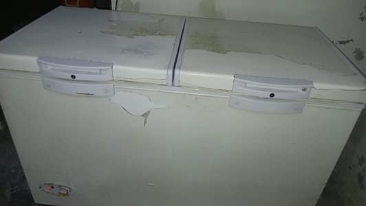 Waves D freezer and refrigerator