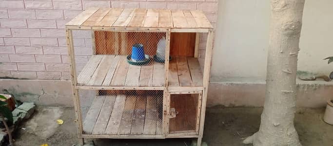 PARROT CAGE