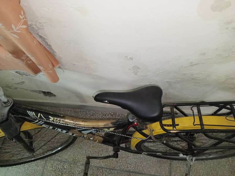 Sumac Racing Cycle 2