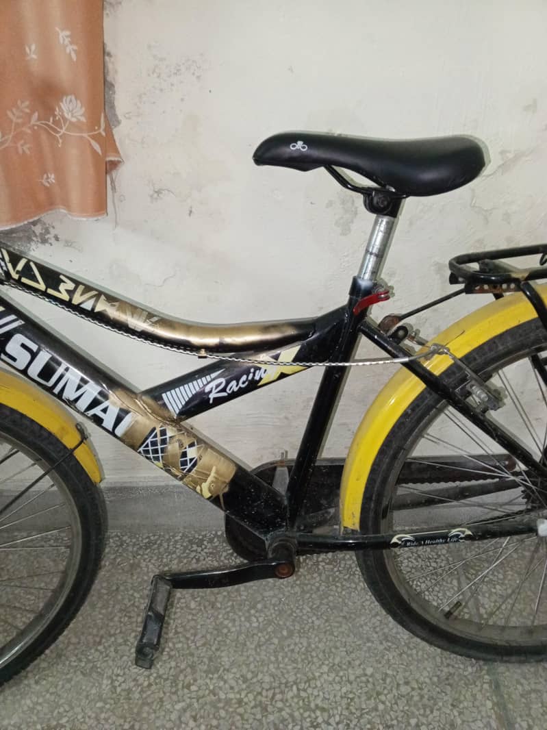 Sumac Racing Cycle 4