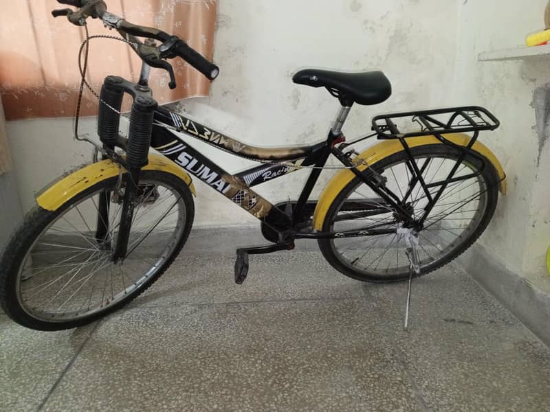 Sumac Racing Cycle 10