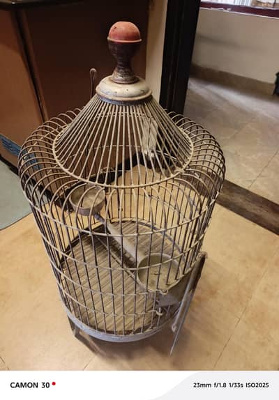 birds cage for sale