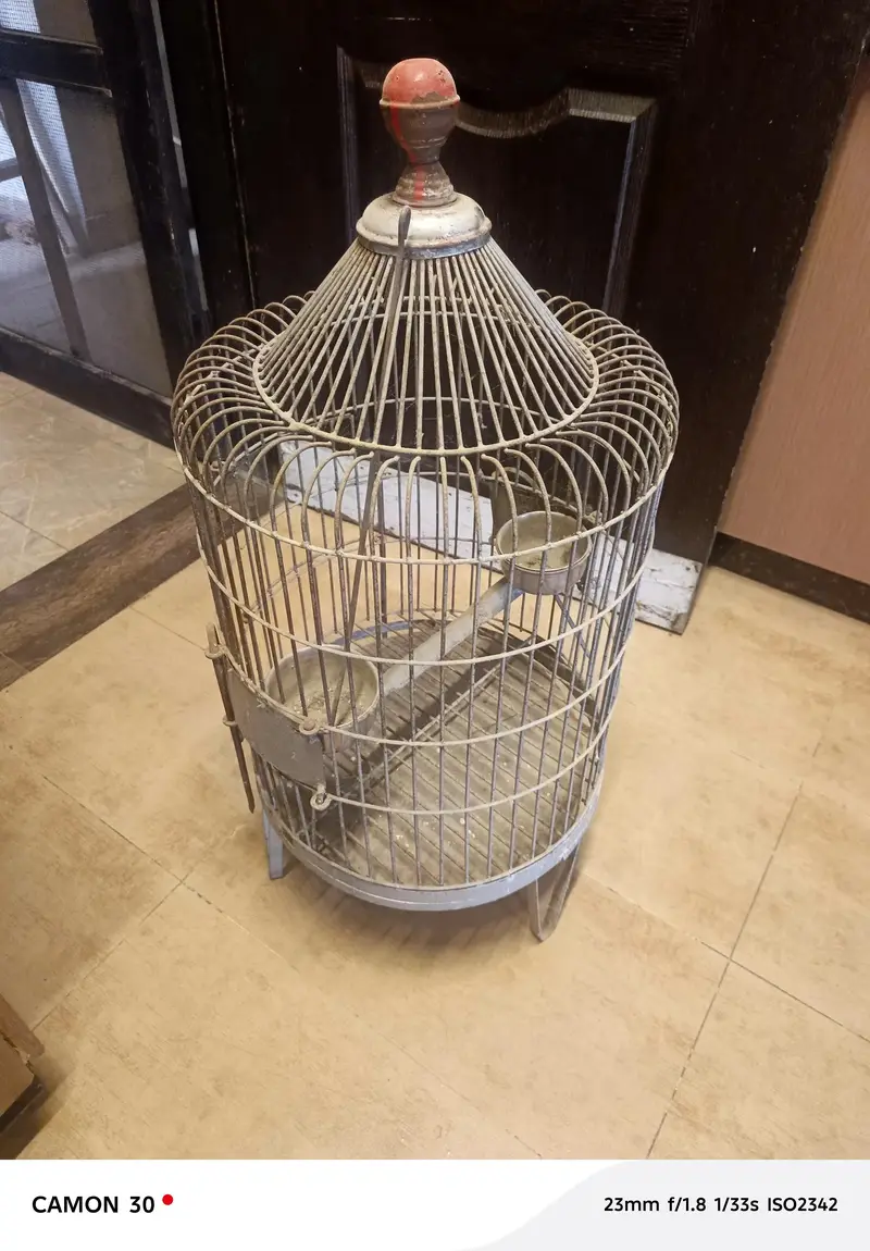 birds cage for sale — photo 2