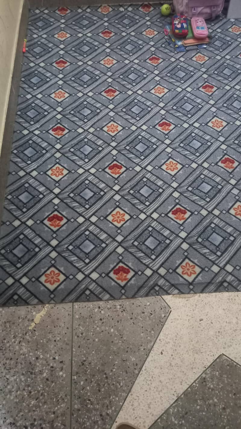 Carpets & Foam 2