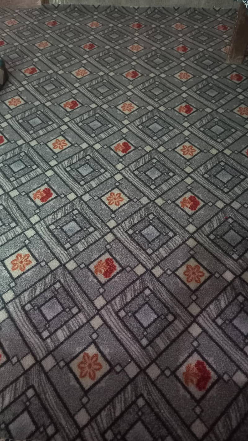 Carpets & Foam 4