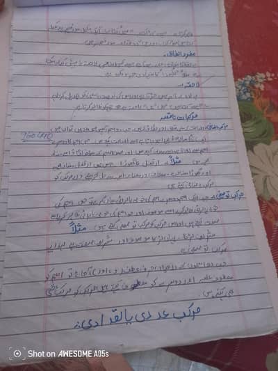 Assignment writing