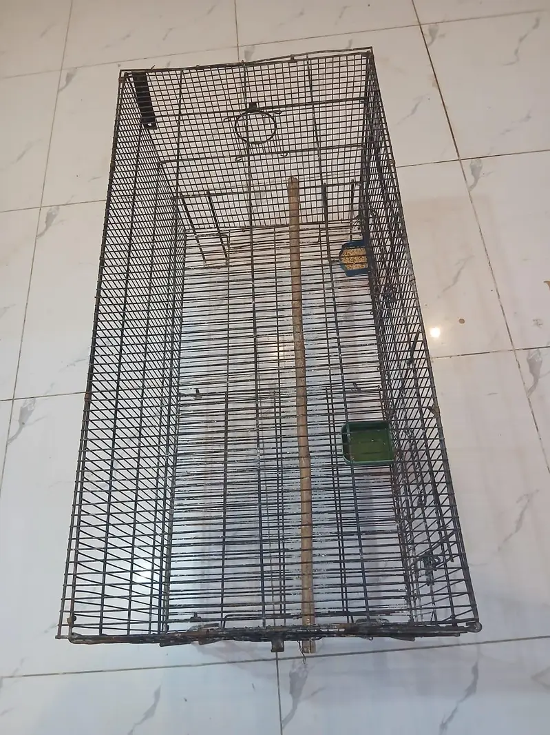 Birds cage for sale — photo 3