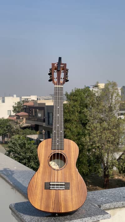 Ukulele in pristine condition