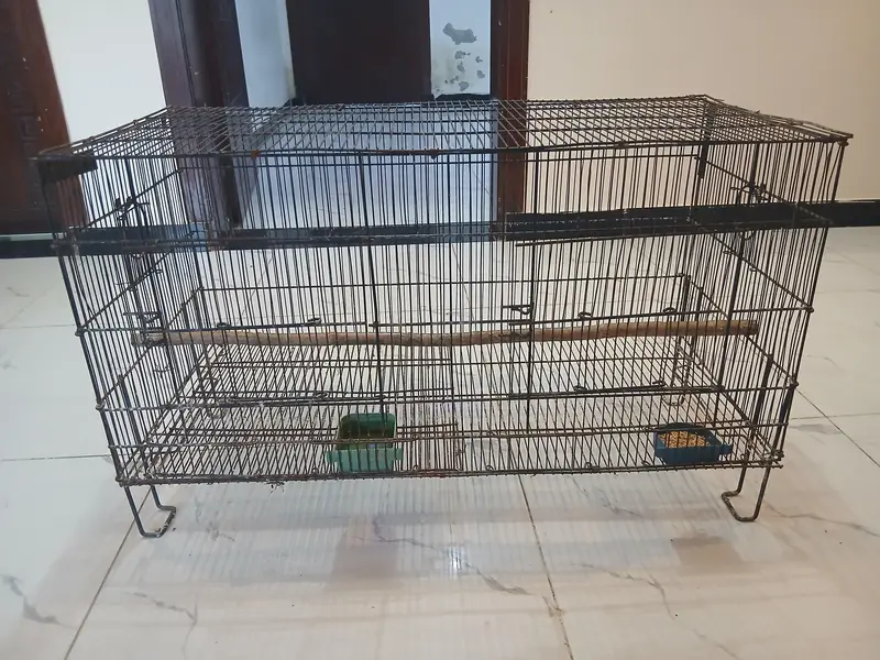 Birds Cage for sale — photo 2
