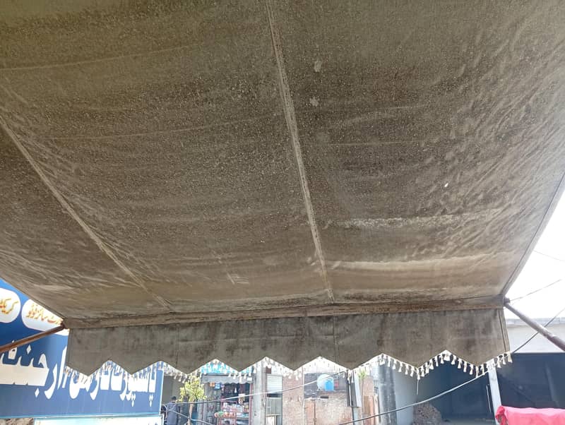 Canopy 1
