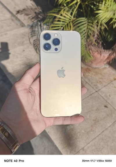 Apple iPhone 13 Pro Max