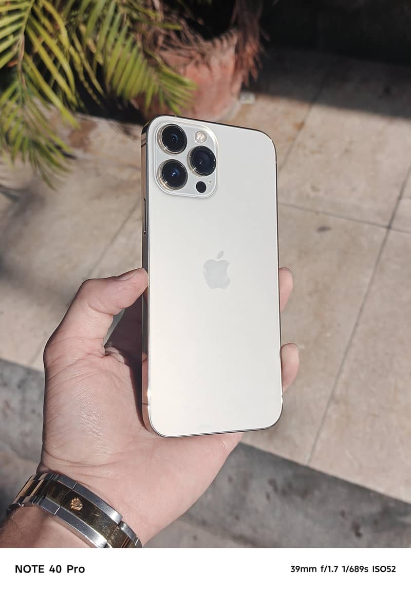 Apple iPhone 13 Pro Max 2