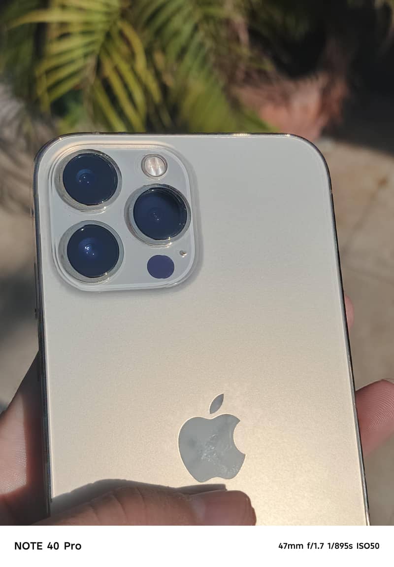 Apple iPhone 13 Pro Max 3