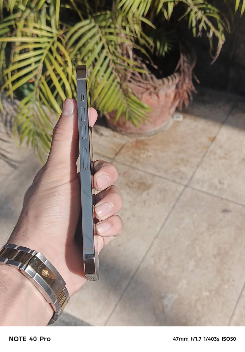 Apple iPhone 13 Pro Max 4