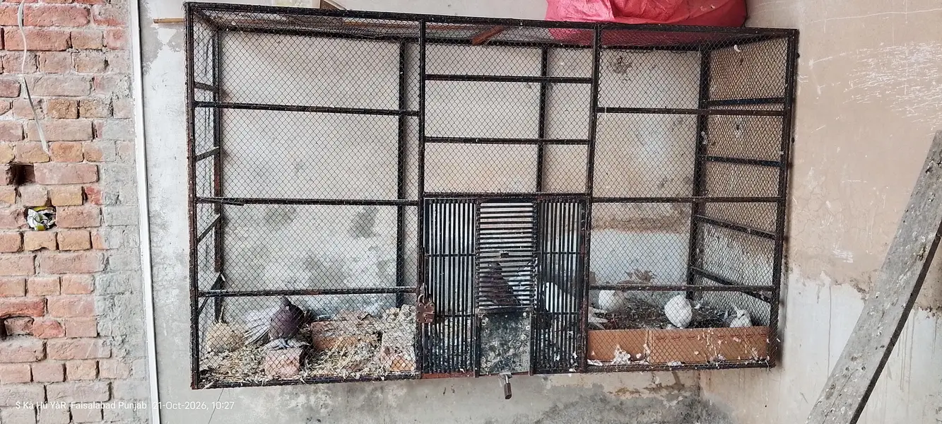 cage for sale — photo 2