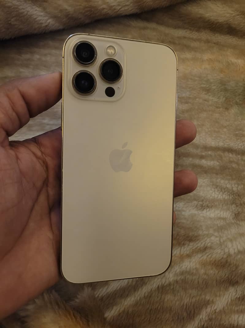 Apple iPhone 13 Pro Max 1