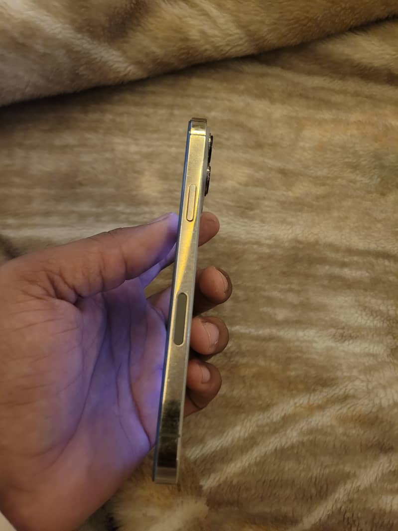 Apple iPhone 13 Pro Max 2