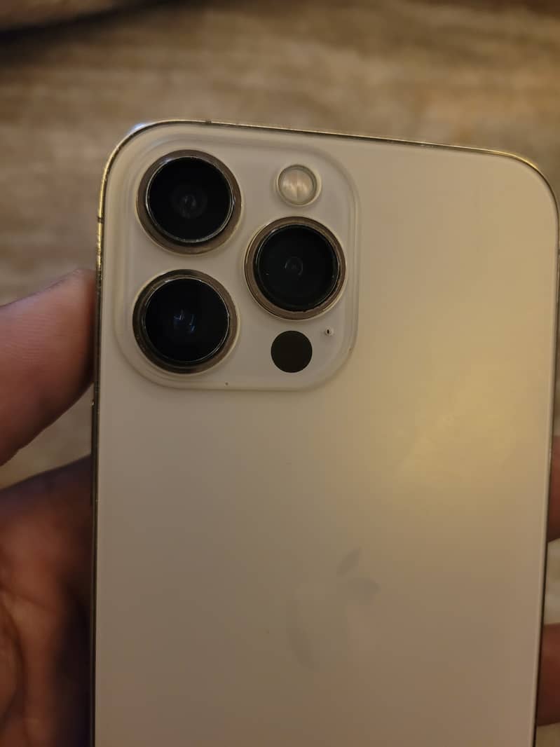 Apple iPhone 13 Pro Max 3