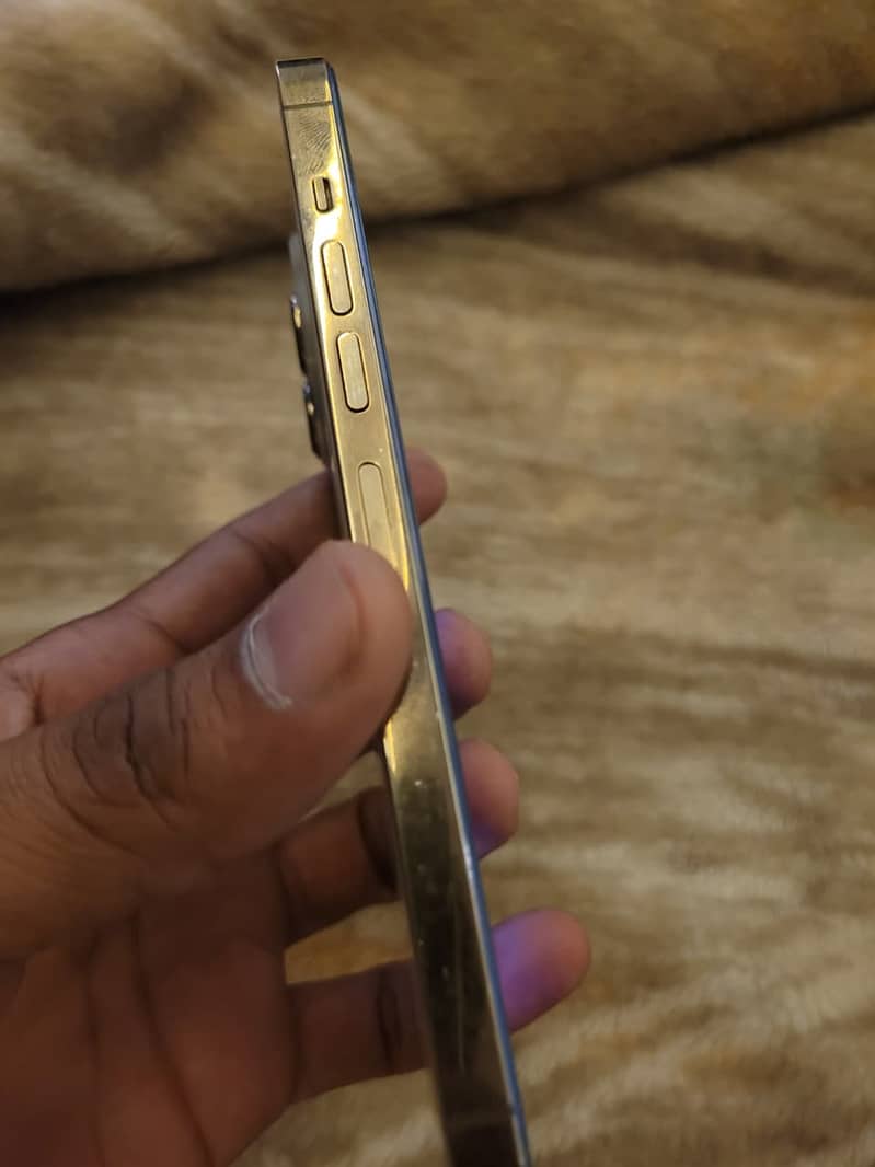 Apple iPhone 13 Pro Max 4