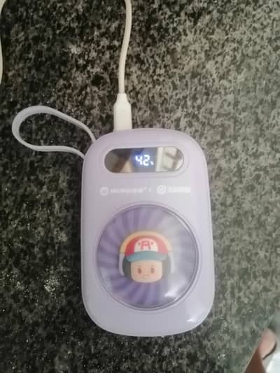 Apple Original power bank (03071848271)