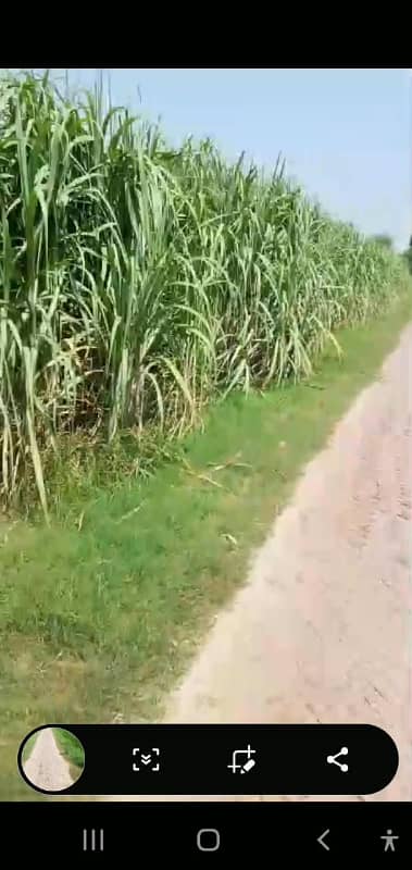 240 Kanal Developed Agricultural Land For Sale At Bhera Interchange M 2 Motorway
