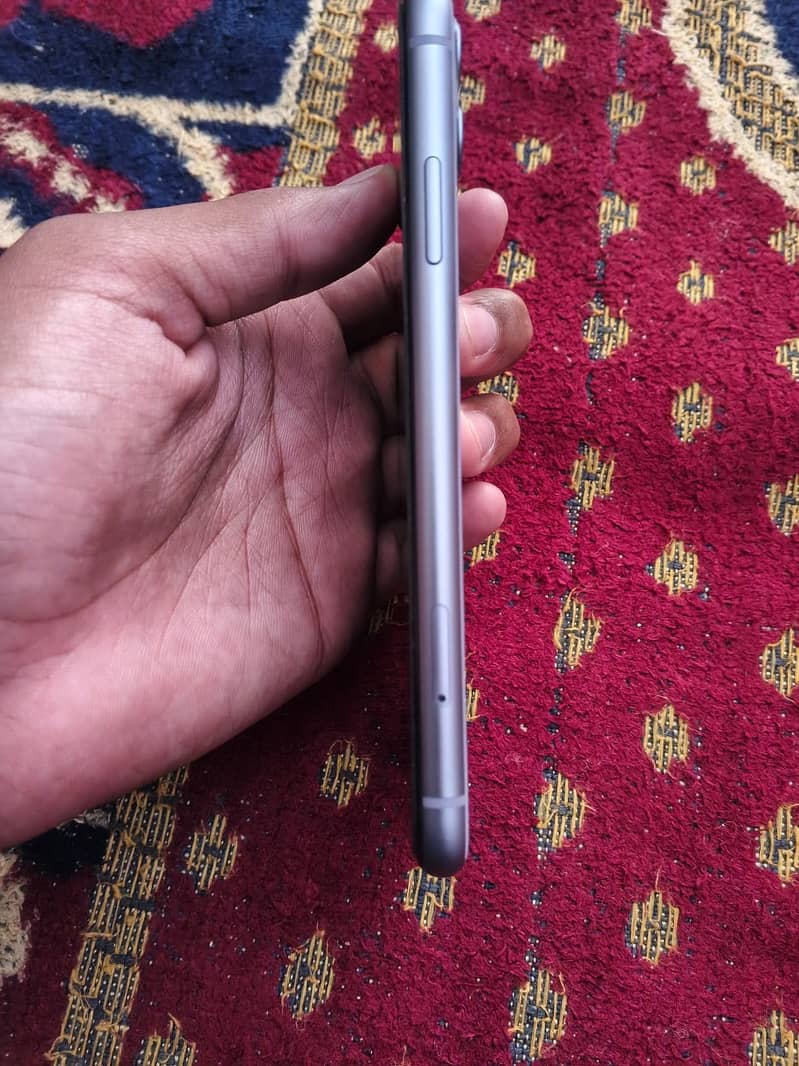 Apple iPhone 11 0