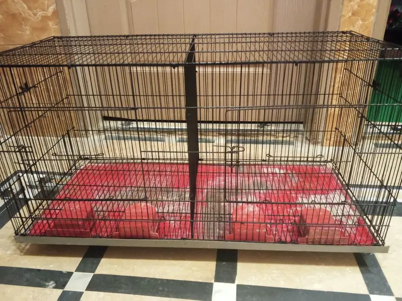 1.5 by 3ft cage used like new — photo 5
