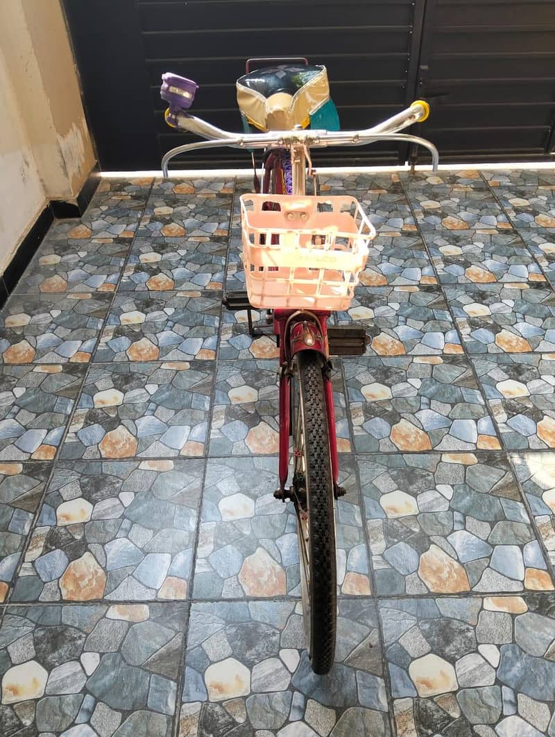 bicycle 2